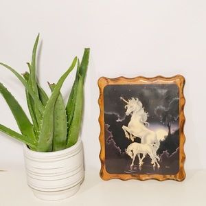 Vintage 70s Unicorn Picture